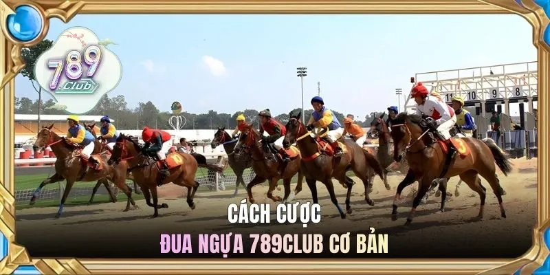 Cách cược đua ngựa 789CLUB cơ bản